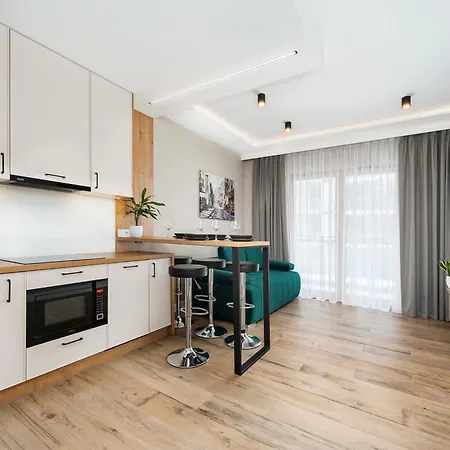 Krakowiak 65 Apartment